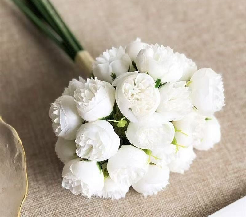 fleur pivoine blanc