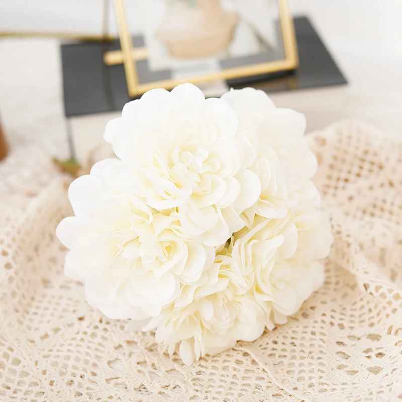 fleur pivoine blanche