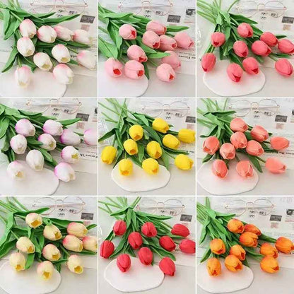 lot tulipe