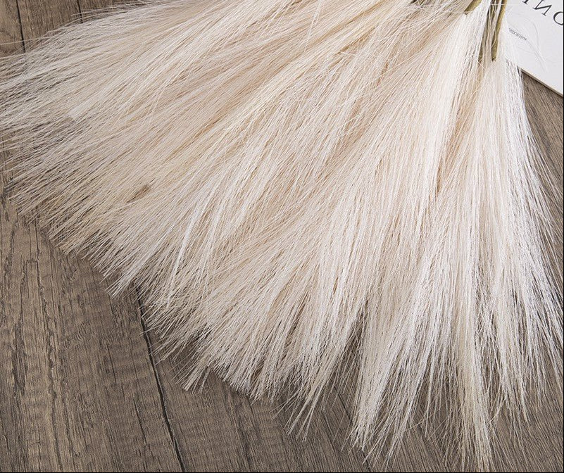 pampa couleur blanc
