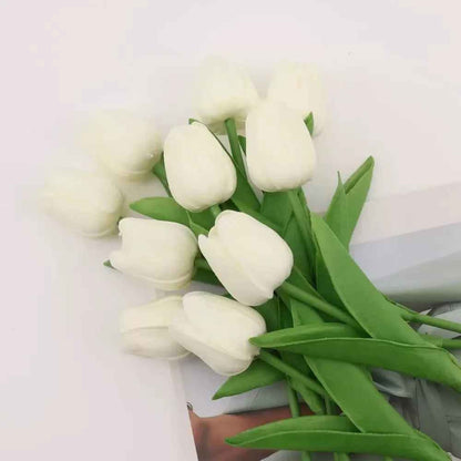 tulipe blanche