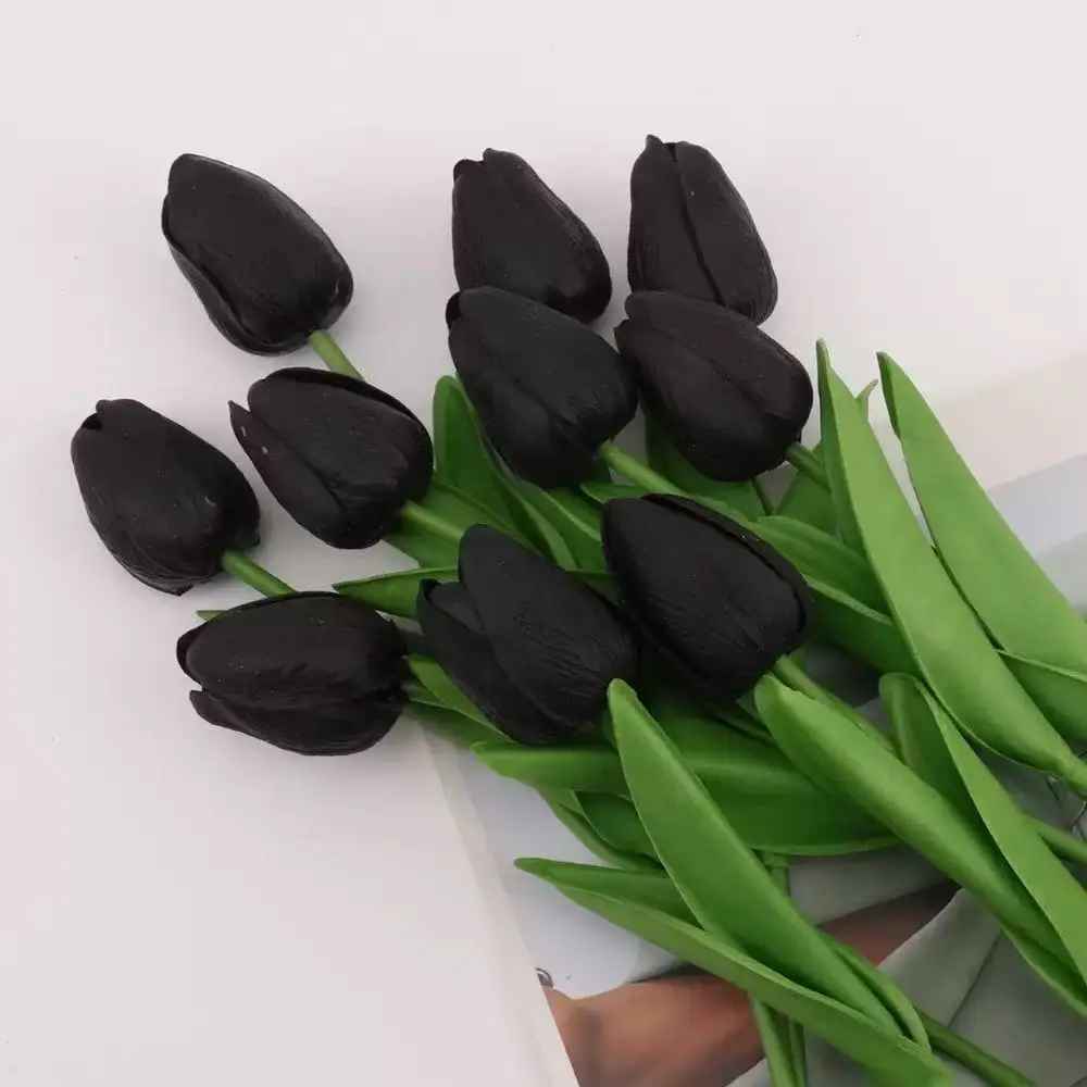 tulipe noir