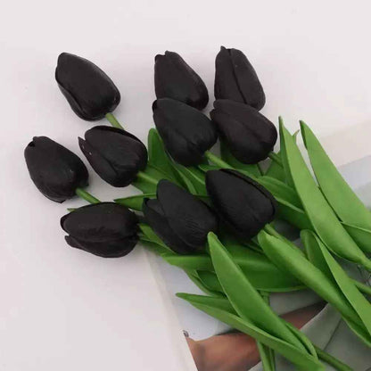 tulipe noir