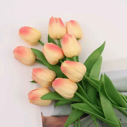 tulipe oange2