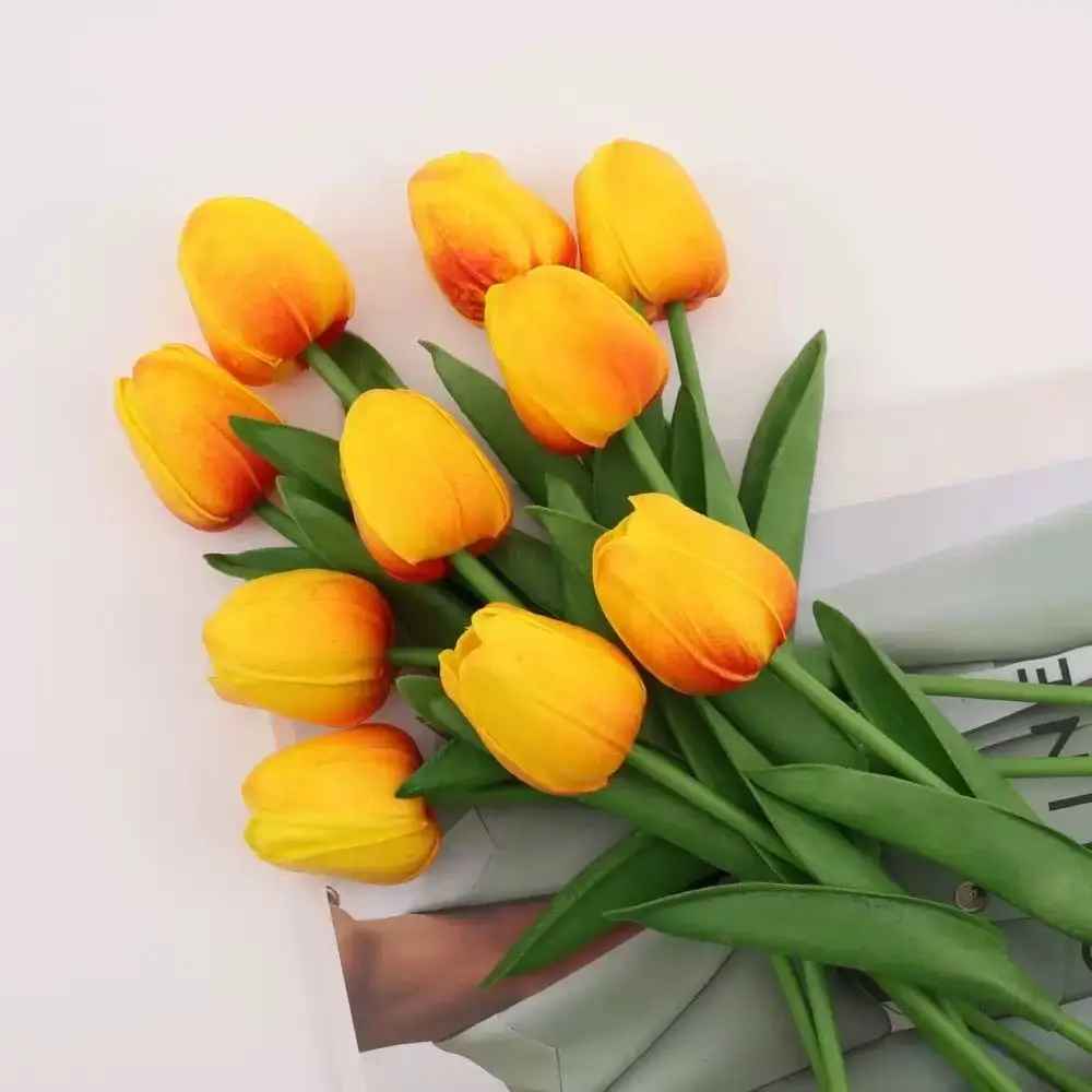 tulipe orange