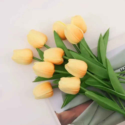 tulipe orange3