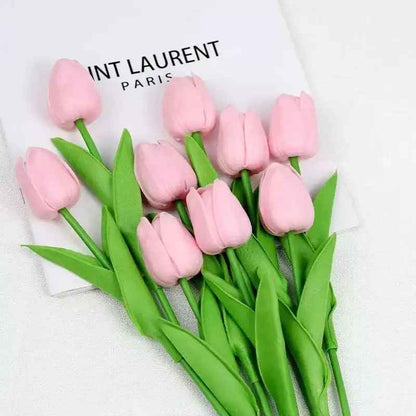 tulipe rose