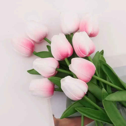 tulipe rose1