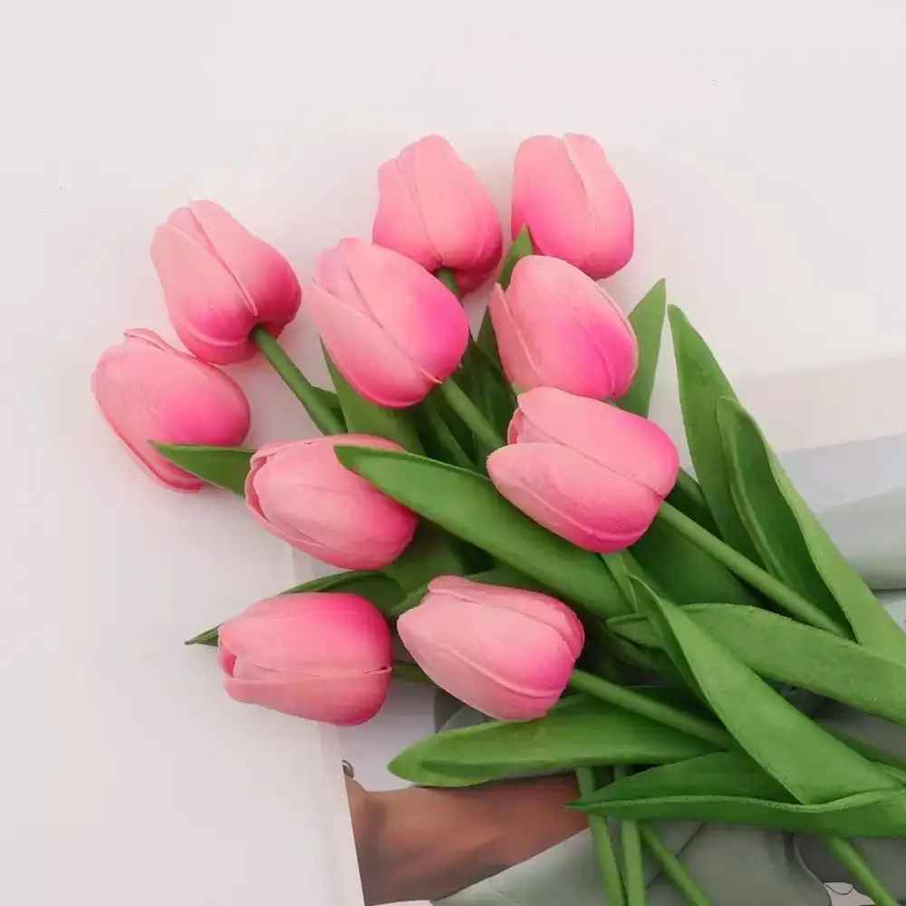 tulipe rose3