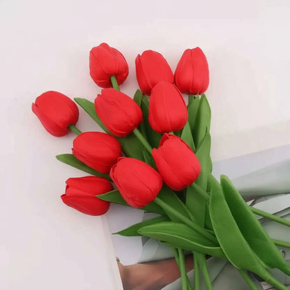 tulipe rouge