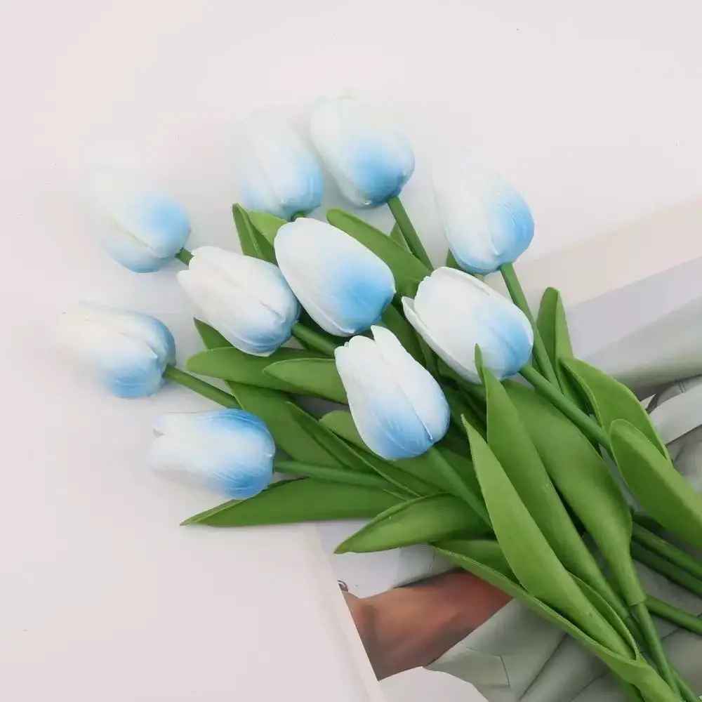 tulipe turquoise