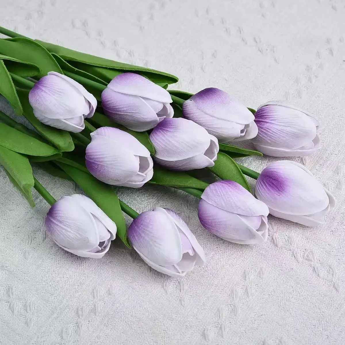 tulipe violet